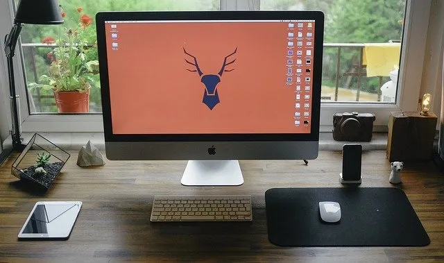 Jak wybrać monitor do monitoringu?
